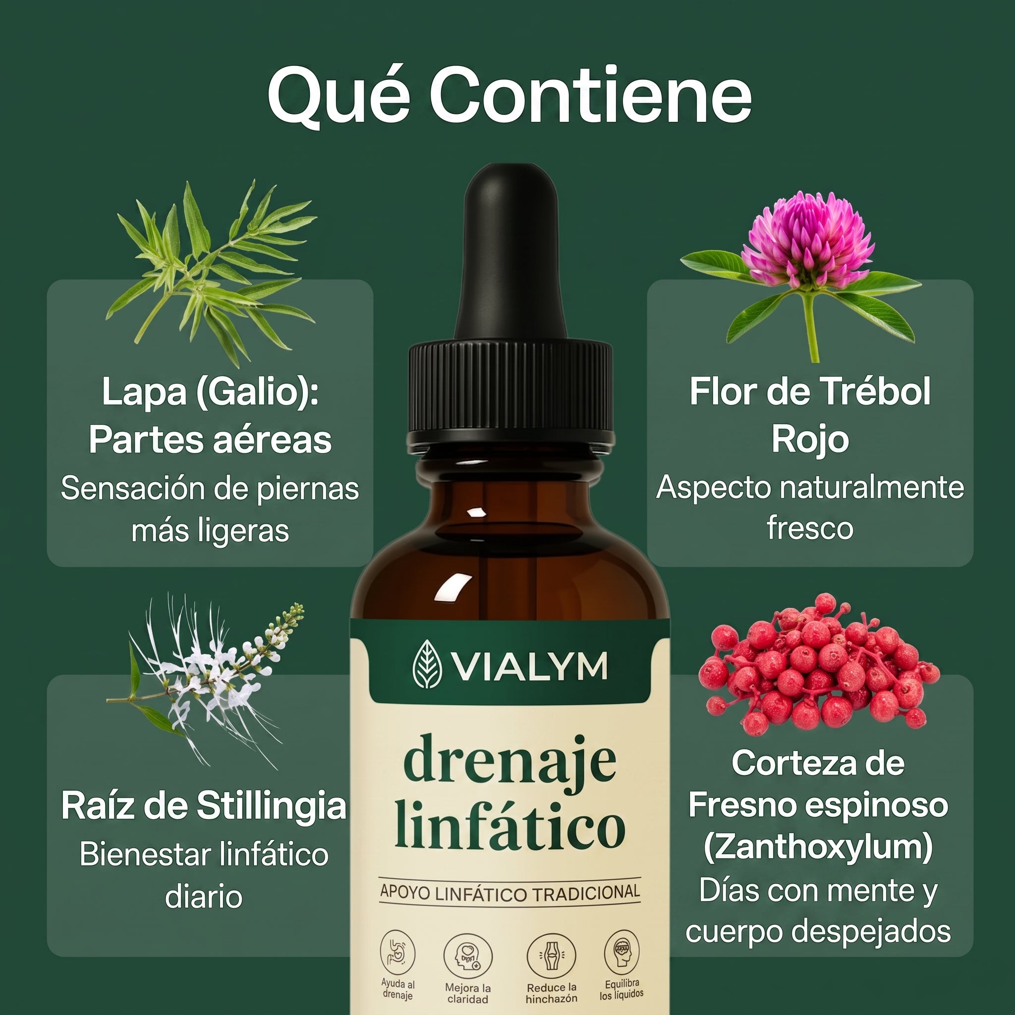 Vialym™  Gotas de drenaje linfático